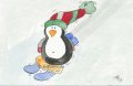 pinguin_auf_ski